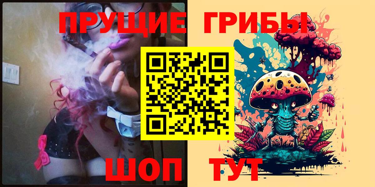 Галлюциногенные грибы Psilocybe Новочебоксарск