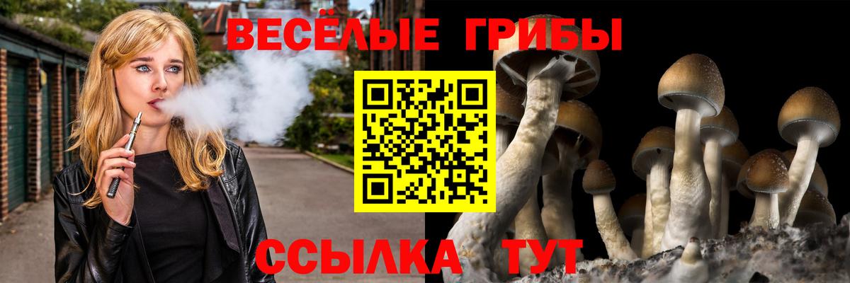 Псилоцибиновые грибы Cubensis  Галлюциногенные грибы Magic Shrooms  Вход с VPN  Новочебоксарск 